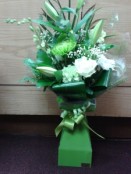 mint green aqua