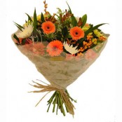 D2F Standard Product 91